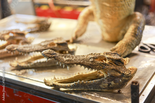 фотографія Exotic roasted crocodile head with sharp teeth and reptile skin displayed on met