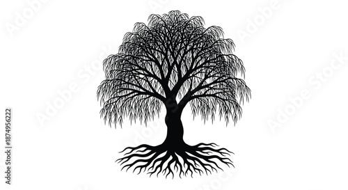 a black tree with exposed roots and drooping branches silhouette high quality professional detailed modern elegant