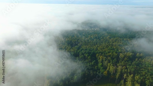 fog in the mountains