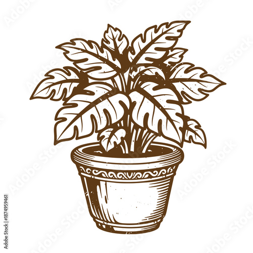 Drawing Vintage Brown illustration of a potted plant with large leaves in a decorative pot