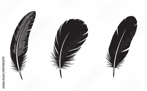 Black feather silhouettes vector, elegant bird plume design, abstract nature symbol in black and whit