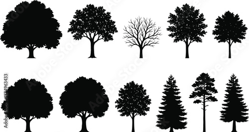 Collection of detailed tree silhouettes featuring various species, foliage shapes, and seasonal forms for nature design, landscape illustration, environmental themes, and botanical creative projects.