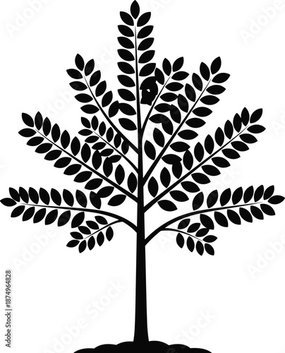 Silhouette Life Cycle Stages of Aging from Infancy to Senior Years Including Childhood Growth Elderly Disability and Final Passing to Death