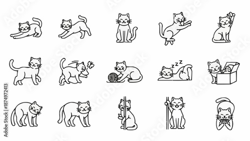 Collection of cute hand-drawn cat illustrations in various poses.