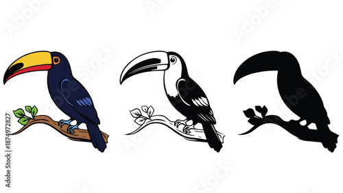 Three colorful toucan illustrations in different styles on white background