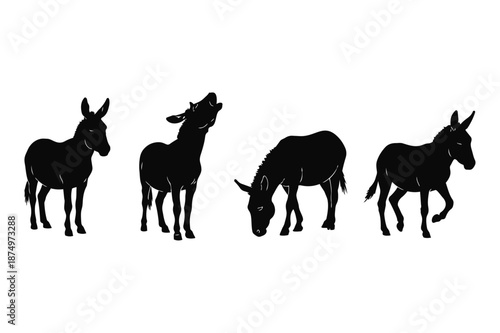 black donkey silhouettes in various poses like grazing and braying on white