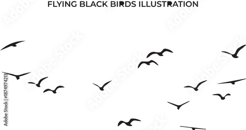 flying birds vector illustration