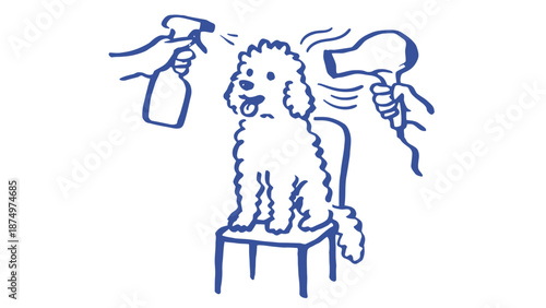 A dog is being groomed with a hair dryer and spray.