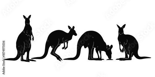 Black kangaroo silhouettes vector, Australian wildlife animal design, hopping mammal icons in black and white illustration