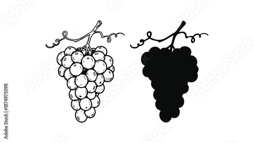An illustration of three bunches of grapes in different styles and colors