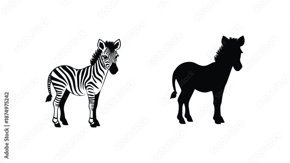 Fototapeta premium A set of three zebra illustrations in different styles on a white background
