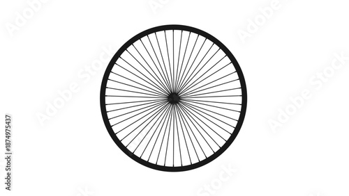 Bicycle Wheel Spokes Radial Pattern Isolated