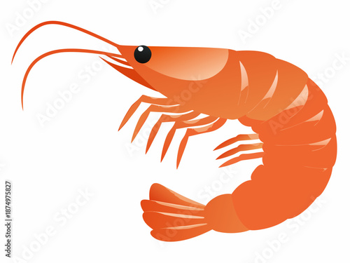 a large orange shrimp with long antennae and claws
