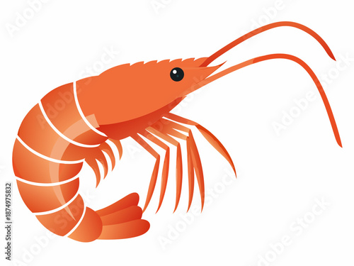 a vibrant orange shrimp with long antennae on white background