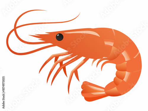 a large orange shrimp with long antennae and claws