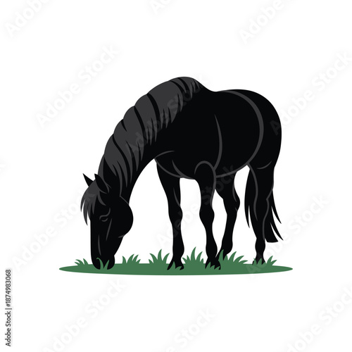 A sleek black horse gracefully grazing in a field of lush green grass