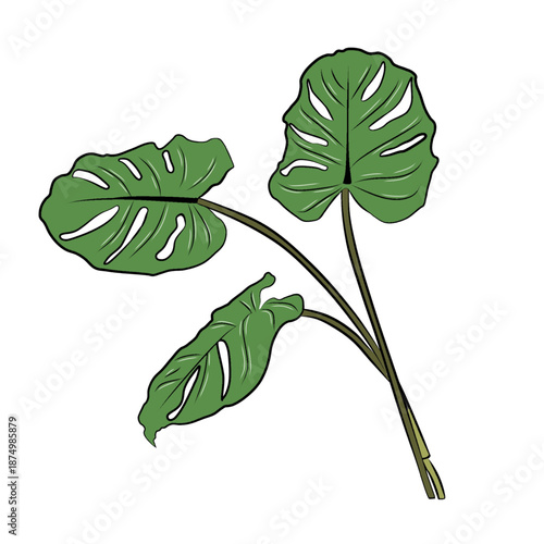 Three vibrant green Monstera leaves in cartoon style. 