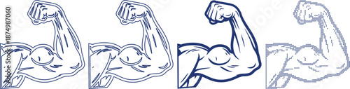 Biceps muscle icon set featuring line art solid and halftone style