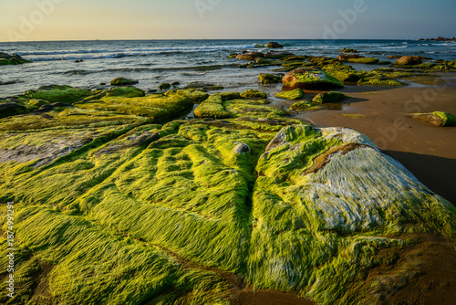 Beautiful rocky and mossy green beach at sunrise