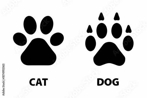 black cat and dog paw prints side by side