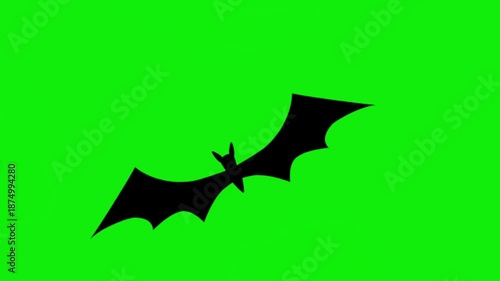 Silhouette of flying bat on green screen. Halloween concept video clip.