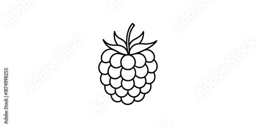 Minimalist black and white line art illustration of a single raspberry fruit icon Vector, illustration