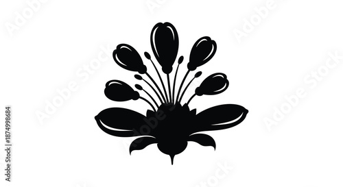 a delicate floral arrangement in stark black and white creates a striking silhouette