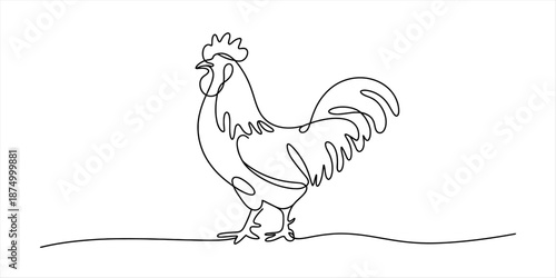 One line drawing of a rooster standing on a white background, minimalist vector art Vector, illustration