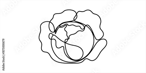 Minimalist continuous line art drawing of a single whole cabbage vegetable Vector, illustration