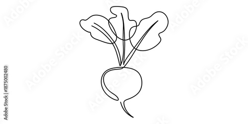 Continuous line drawing of a radish with leaves, simple and modern vegetable illustration Vector, illustration