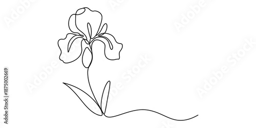 Minimalist continuous line art drawing of an elegant iris flower on a white background Vector, illustration