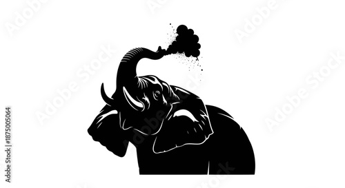 Silhouette of african elephant spraying water over its back with trunk