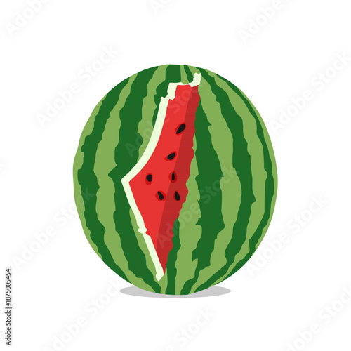 Palestine on a watermelon illustration. Watermelon is a symbol of resistance of the Palestinian.