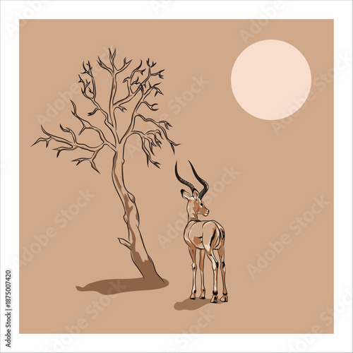 Image Of Deer Vector Image  
