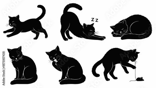 Collection of black cat poses and activities illustration.