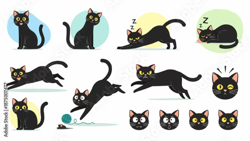 Collection of Black Cat Poses and Expressions.