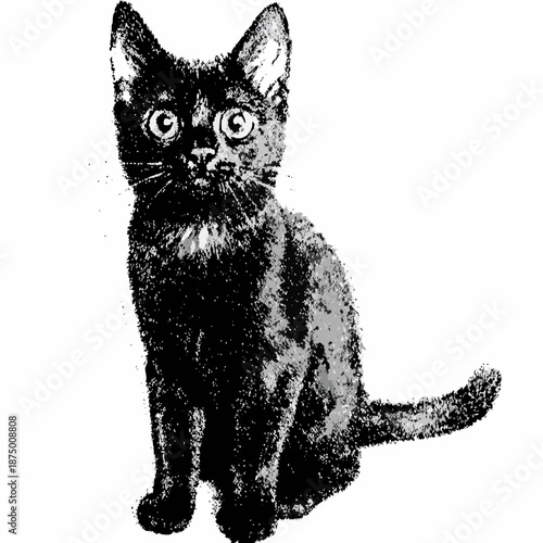 a black cat sitting on a white background looking curious