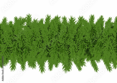 A lush green hedge or bush with dense foliage on a white background