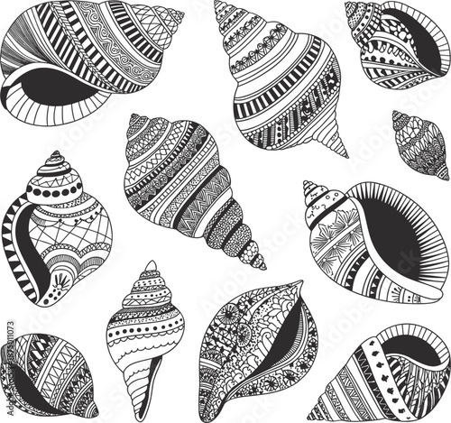 Hand drawn sea shell sketch set with intricate tribal patterns, black and white vector seashell collection
