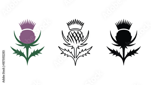 Three thistle flower logos in different colors and styles on white
