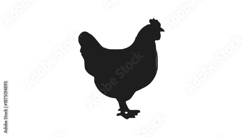 A group of black chickens standing together in a pattern