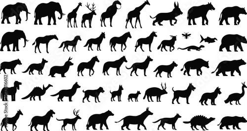 Big collection of animal silhouettes, wild and domestic zoo creatures, elephant horse dog bear shapes, black isolated vector illustration set