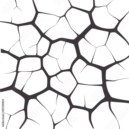 Contrast black and polygonal cracked texture pattern cracks geometric