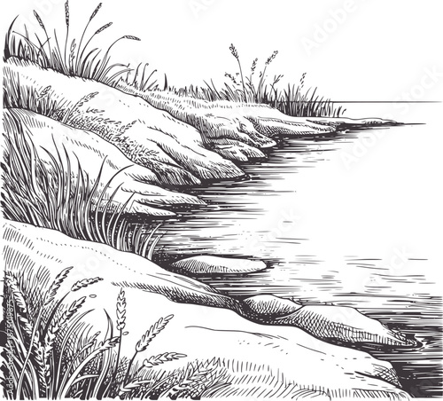 Detailed black and hand drawn of a grassy riverbank handdrawn reeds