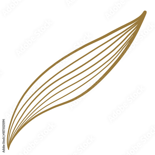 Golden Leaf Doodle Line Art on white Background