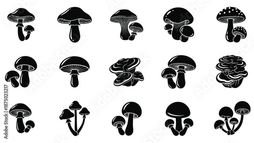 Collection of various mushroom shapes in a striking black silhouette