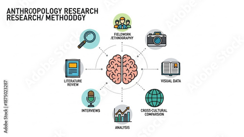 Anthropology research methodology infographic brain with icons for fieldwork literature review interviews and data analysis concept for science and 