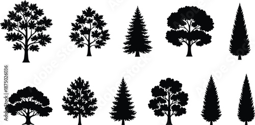 Collection of black tree silhouettes, different forest tree shapes, deciduous and conifer plants, nature design elements isolated on white background vector illustration
