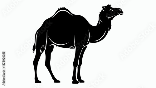 A striking black silhouette of a dromedary camel standing against a white background, showcasing its iconic hump and elegant form.