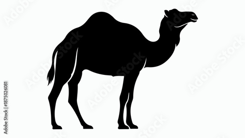 A striking black silhouette of a dromedary camel standing against a white background, showcasing its iconic hump and elegant form.
